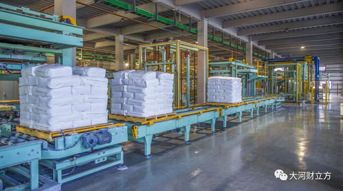 技术突破壁垒，销量问鼎国内 细分冠军以国内贸易代理重构增长新格局