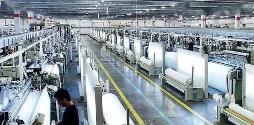 国内贸易代理新机遇 面料企业如何在夹缝中求生与突围